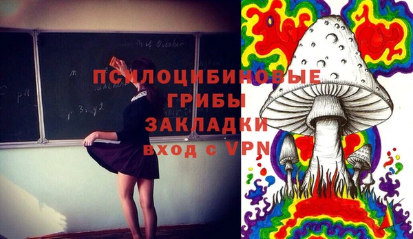 mdpv Лихославль