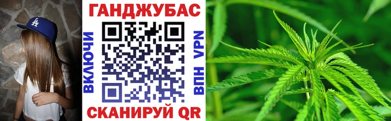 Каннабис план Всеволожск